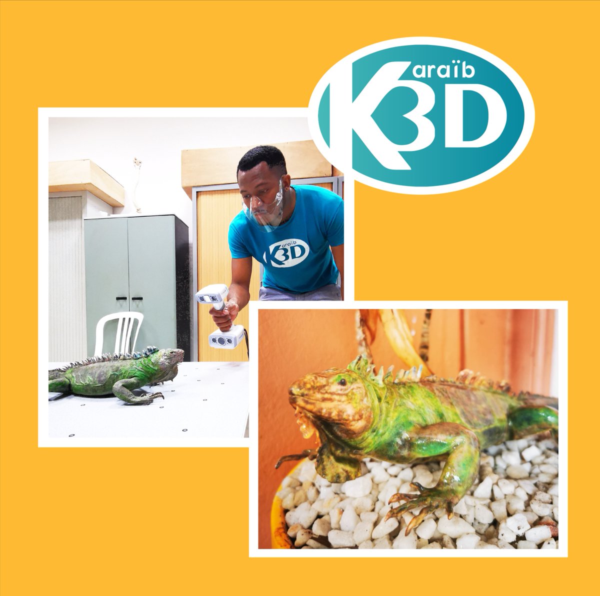 karaib3d's tweet photo. 🦎 Explorez la beauté des iguanes martiniquais en 3D couleur ! Notre dernière création combine technologie et nature. Leurs couleurs sont aussi uniques que la Martinique elle-même !  À voir au Musée Père Pinchon !🌴🎨 #IguanesMartinique #Impression3D #Biodiversité https://t.co/CnyeTL1yvE