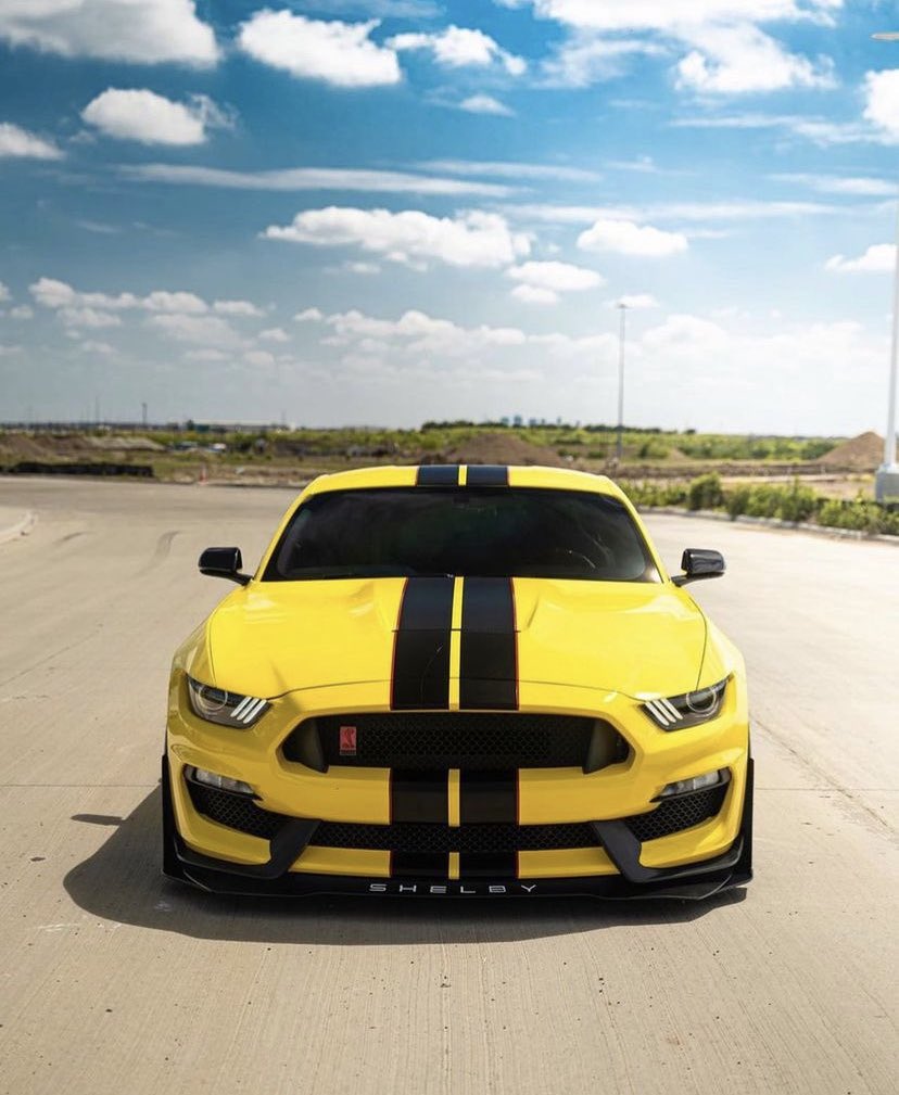 RidesAmazing's tweet photo. Yellow looks good on the Shelby 😈 https://t.co/afxFJREXd9