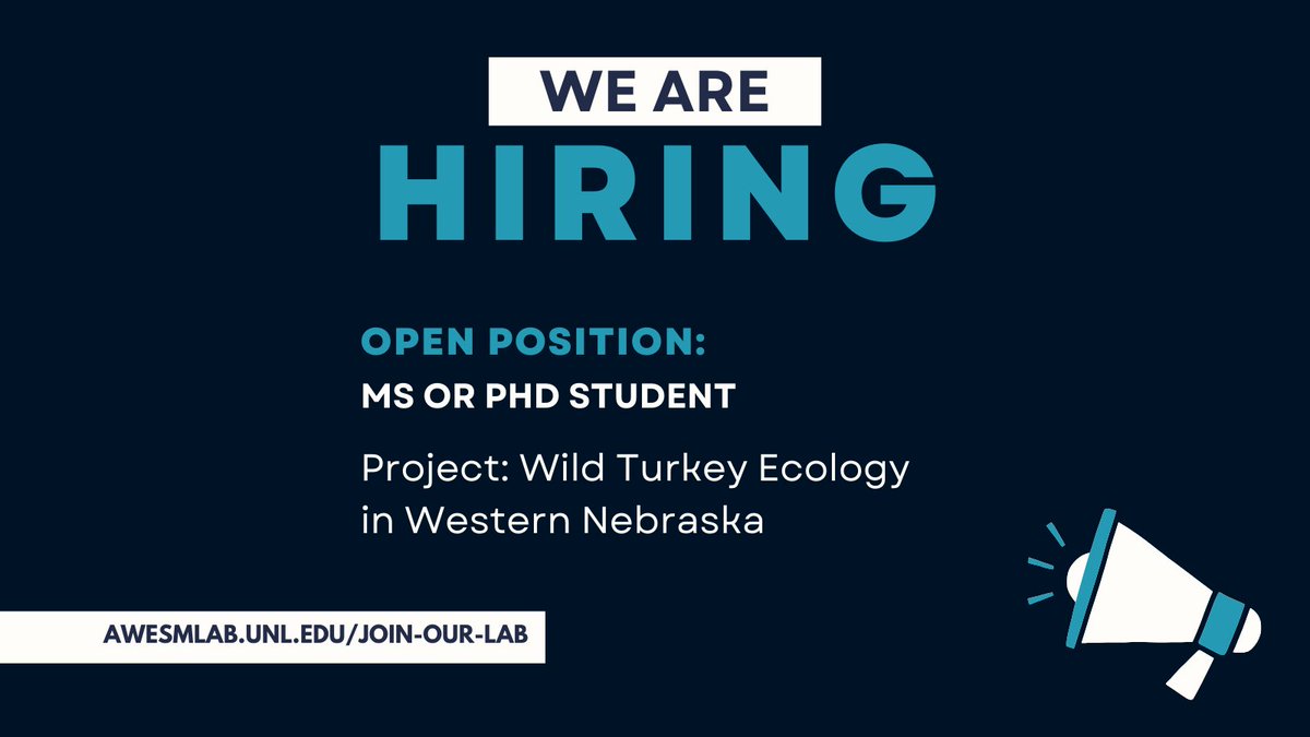 We're hiring! In search of a motivated graduate student to help on our wild turkey ecology project. Please share with anyone you think might be interested in this position!

To learn more, visit awesmlab.unl.edu/join-our-lab
#EcologyJobs #WildlifeJobs #GraduatePosition #Hiring