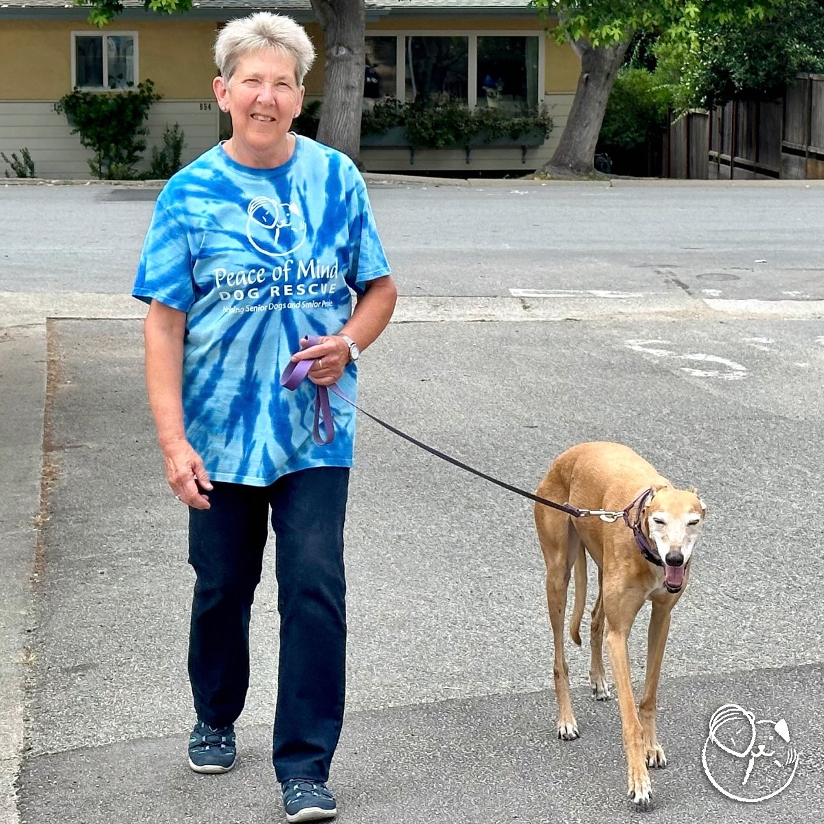 peace_rescue's tweet photo. This week's #HelpingPaw goes to Ella, Rona and Linda! When Rona first battled cancer, she reached out to us for help with dog walking. Our volunteers have been walking Ella for over four years. Linda has formed a special bond with Rona and Ella! Learn more https://t.co/tNid09reyX https://t.co/v9IOgIRk4P