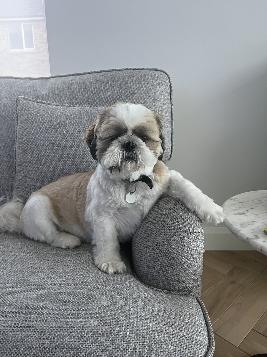 Seán Bonner tweet media