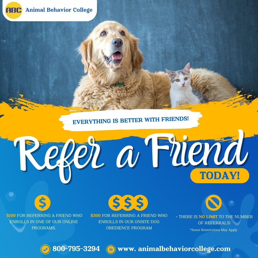 Share the joy of learning and make a positive impact on the lives of animals by introducing your pals to our in-home certification programs.
Learn more ➡️ lp.animalbehaviorcollege.com/refer-a-friend… #ABC #Animalbehaviorcollege #helppeoplehelpanimals #AnimalBehaviorCollege #PassionForAnimals