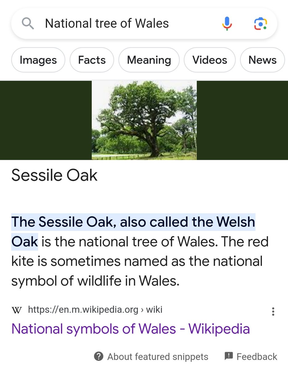 TheBlueCircle1's tweet photo. I was searching about Native Welsh trees https://t.co/2HisPhGmOX