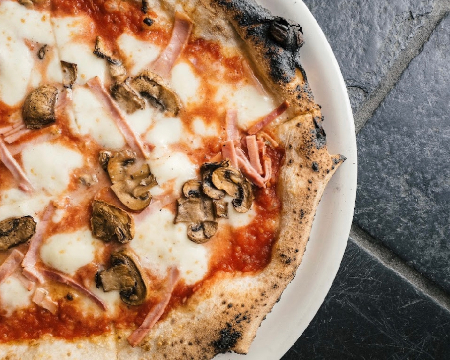 North Park Main St tweet media