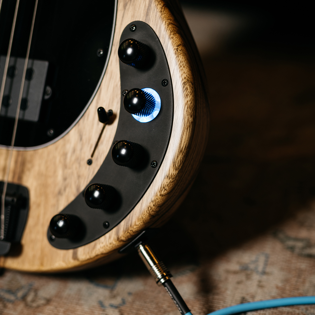 Ernie Ball tweet media