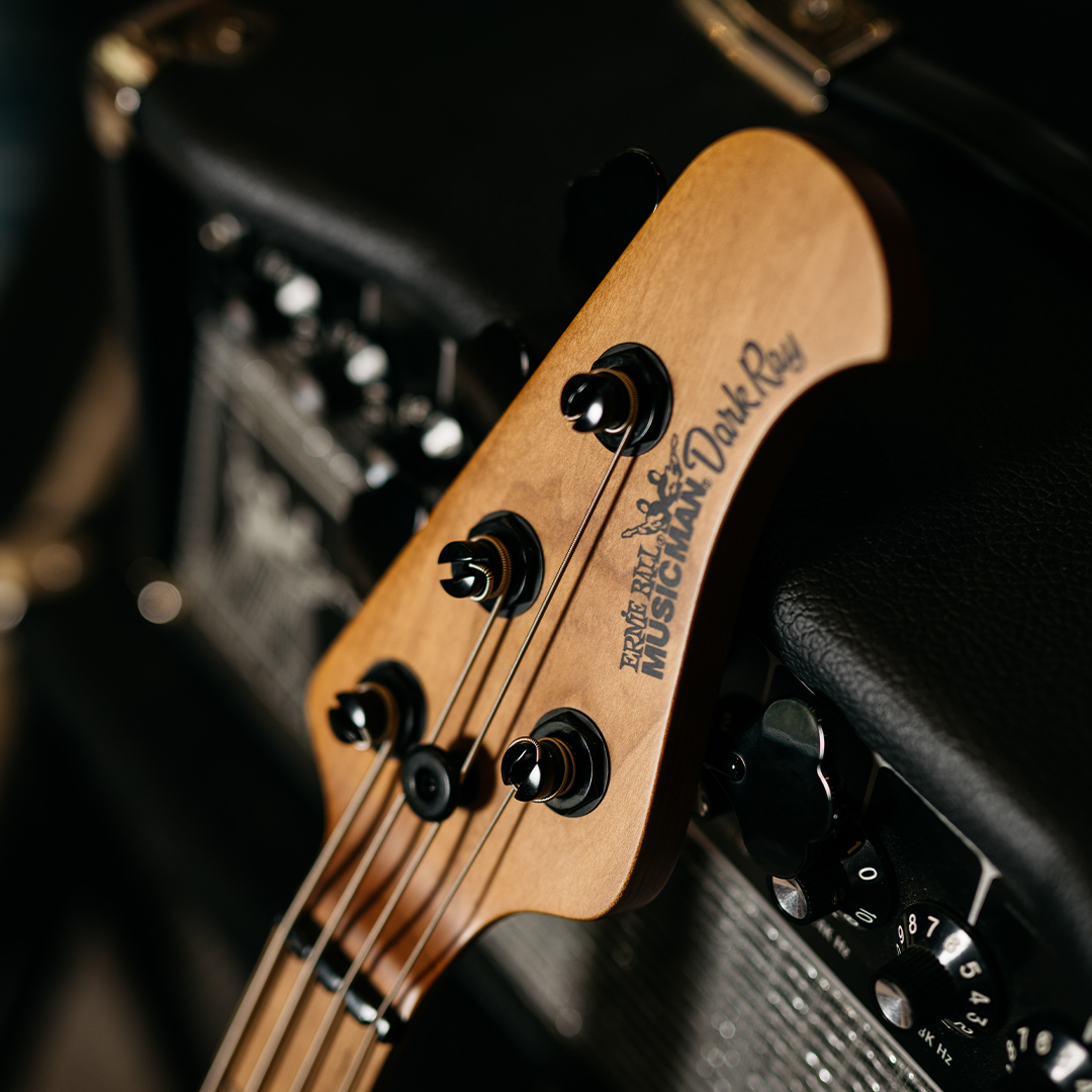 Ernie Ball tweet media