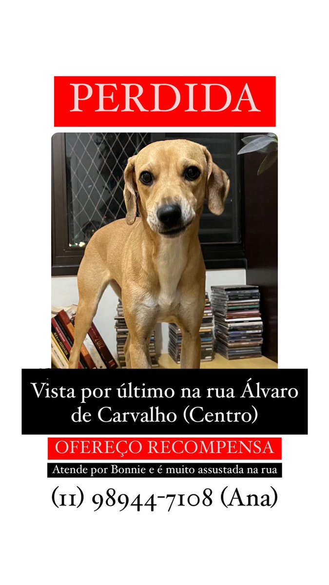 Oi, gente. A Bonnie é filhinha de uma das nossas adms e infelizmente ela está desaparecida. Quem puder ajudar compartilhando essa foto aqui ou em outras redes a gente agradece muito 🙏🏿😭  (por favor! estamos desesperadas)

Todas as informações estão nessa imagem ⤵️