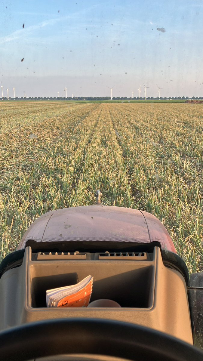 ChrisDeGroot16's tweet photo. De cambridgerol vlak boven de uien langs laten lopen werkt hier perfect om ze een handje te helpen met strijken!

Een beetje regen is van harte welkom om te kunnen rooien, de grond word erg hard! https://t.co/nNMsD3SqQV