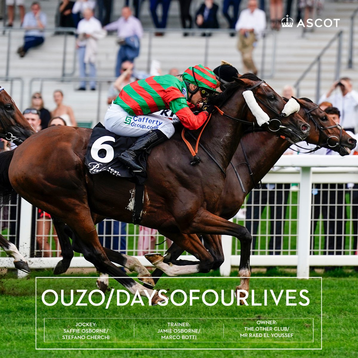 📍 The Palmer &amp; Co Champagne Handicap Stakes
🐎 Ouzo / Daysofourlives