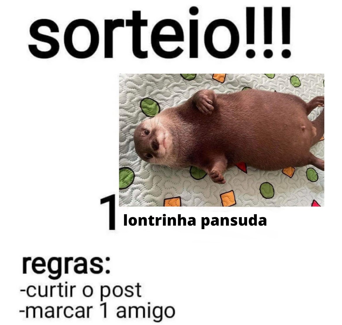 não perca a oportunidade de ganhar uma lontrinha pansuda