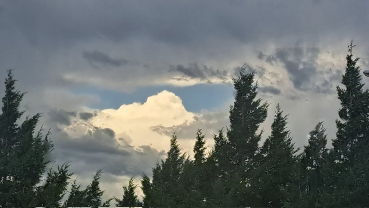 MountsofKansas's tweet image. The Lone Mountain