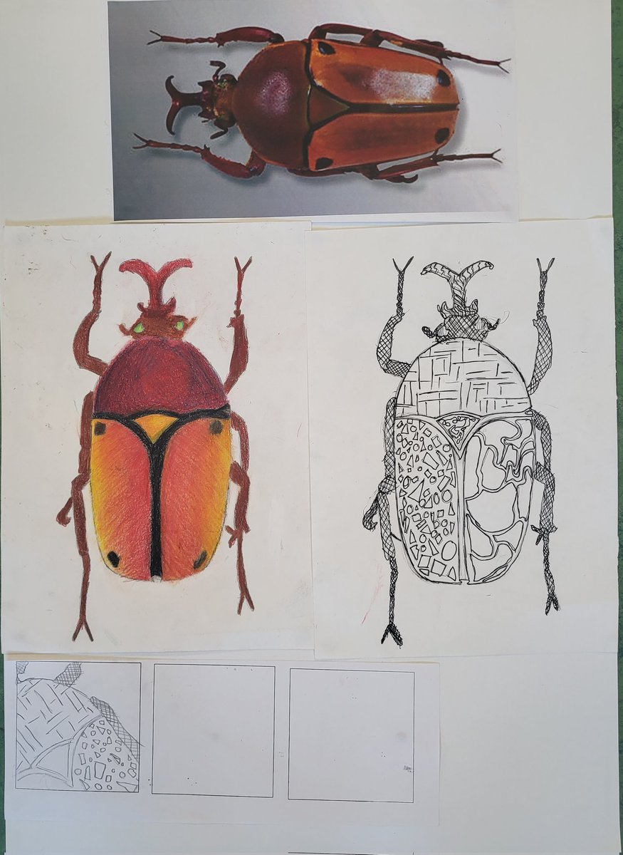 vcmooreartist's tweet photo. Insect Repeat Pattern Design Unit. Our very talented S3s have produced some stunning research &amp; investigation sheets. Looking forward to seeing how our learners develop their motifs and patterns 🦋🐞🪲 @StAndrewsRCHS #bugslife #nature https://t.co/AcNMW0oVmy