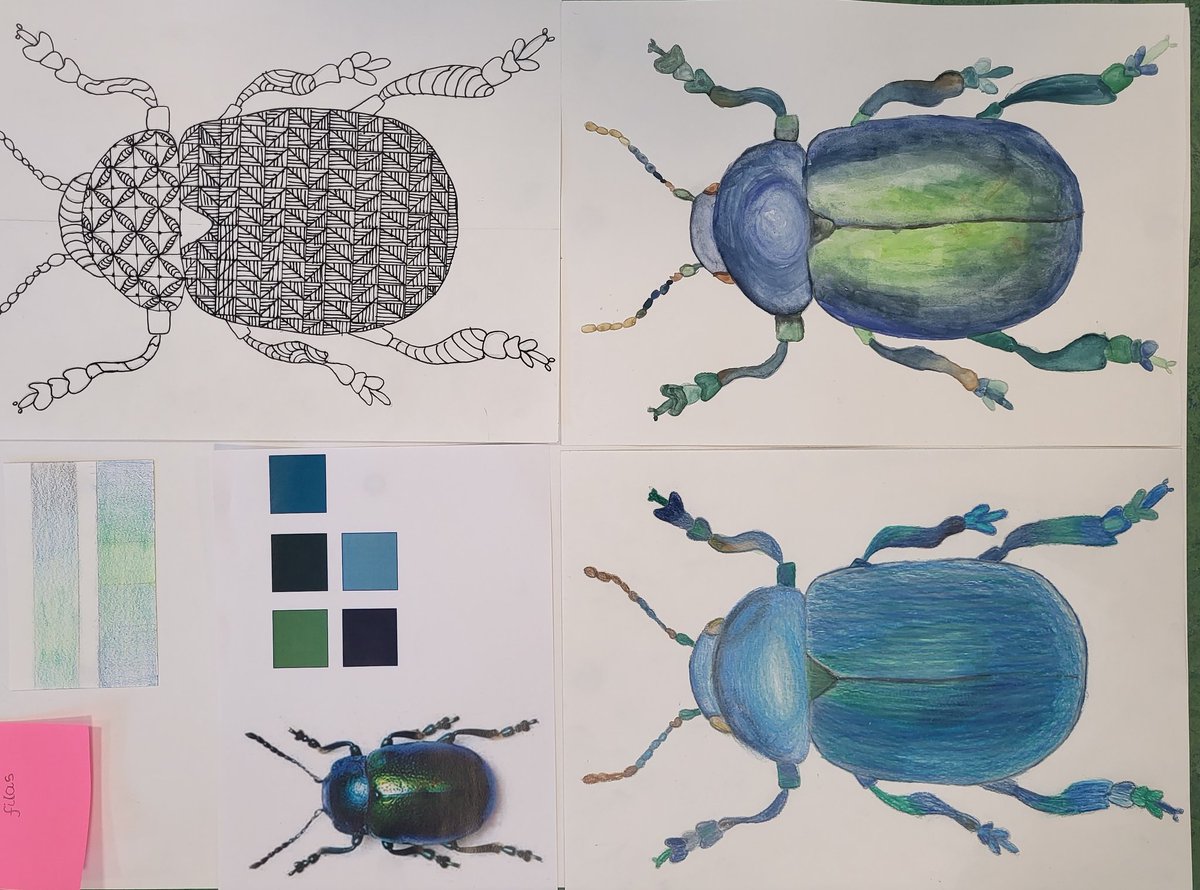 vcmooreartist's tweet photo. Insect Repeat Pattern Design Unit. Our very talented S3s have produced some stunning research &amp; investigation sheets. Looking forward to seeing how our learners develop their motifs and patterns 🦋🐞🪲 @StAndrewsRCHS #bugslife #nature https://t.co/AcNMW0oVmy
