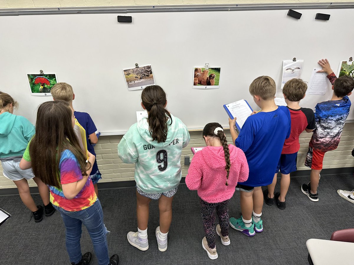 MrGoodine's tweet photo. Identifying adaptations on our gallery walk. Physical or behavioral how do adaptations help organisms survive? @KenstonSchools @KenstonKIS #myohioclassroom https://t.co/BVuBFFyJao