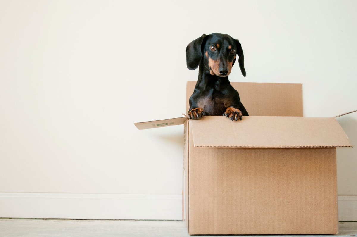 🏡🔑 Want to make buying your first home a breeze? 🌟 Consider using a qualified mortgage adviser! I can guide you through the process, helping you find the most suitable deals and secure a favourable mortgage. #FirstTimeHomeBuyer #MortgageAdviser #ExpertHelp