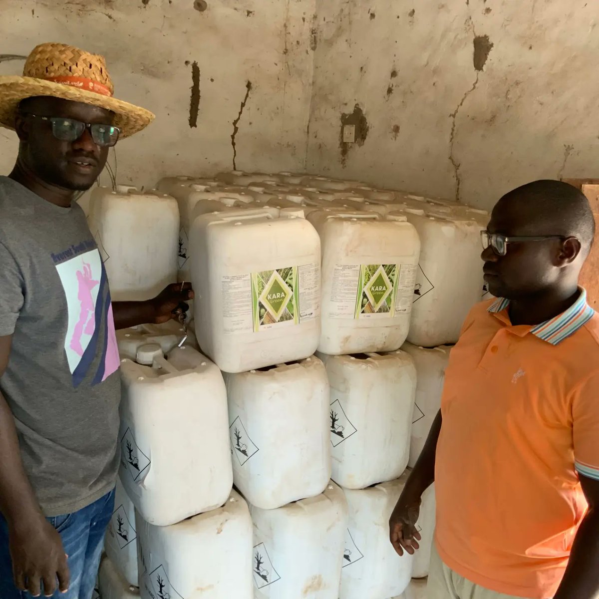 kijaniland's tweet photo. #Kijaniland, partenariat avec ID Bio, la SoDaGri et la FéProBa, Pour stimuler le #developpementdurable et l'#innovation dans le secteur de l'#agricultureraisonnée au Sénégal.  Plus d'infos  à venir!  #transformingafrica #theafricawewant #strongertogether #beyonder #agriculturebio https://t.co/EyMfBWbIqJ
