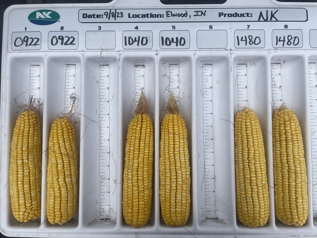 The NK 20 in ‘24 corn launch class at Schwinn Farms and Co-Alliance’s plot day in Elwood, IN.

#SuccessWithNK <a href="/NKSeeds/">NK Seeds</a> @NKGreatLakes @CoAllianceCoop