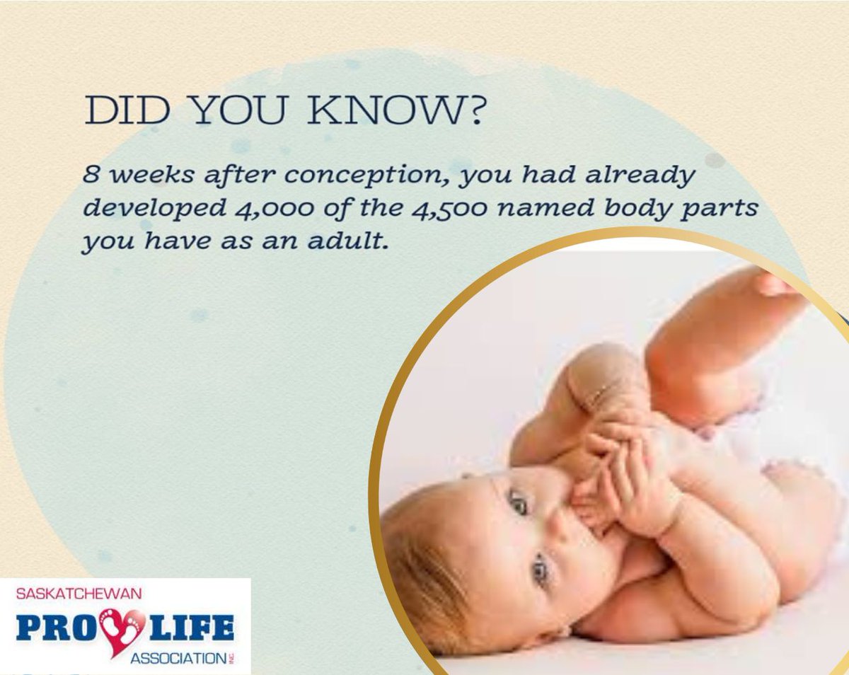 SaskProLife's tweet image. 