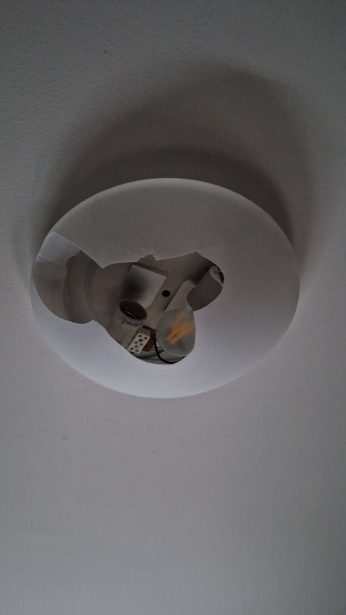 Nicolás Alvarez tweet media