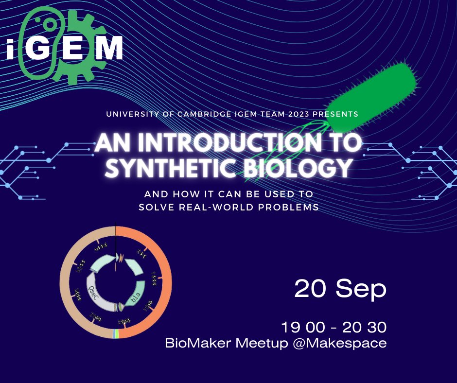 Katia Smith Litiere tweet media