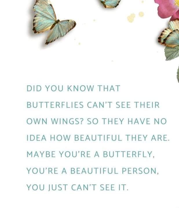 SamSmit46674505's tweet photo. Just like you see the beauty in others, we see the beauty in YOU 🦋
Have a beautiful day 🦋
@S62CTR #S62CTR https://t.co/86fcuZ8Nlv