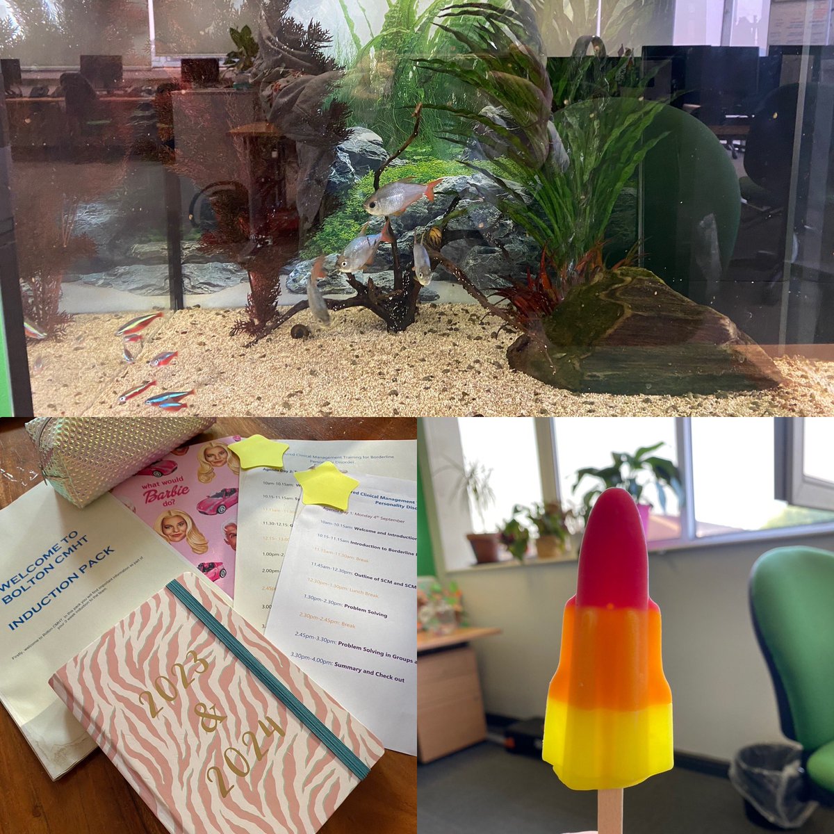 What a first week!
Ive been made to feel so welcome! Highlights have been 2 day SCM training, meeting the team (&amp; the fish), and a Friday afternoon ice lolly which was much appreciated in this heat! Now I have lots of reading to do but really looking forward what lies ahead!