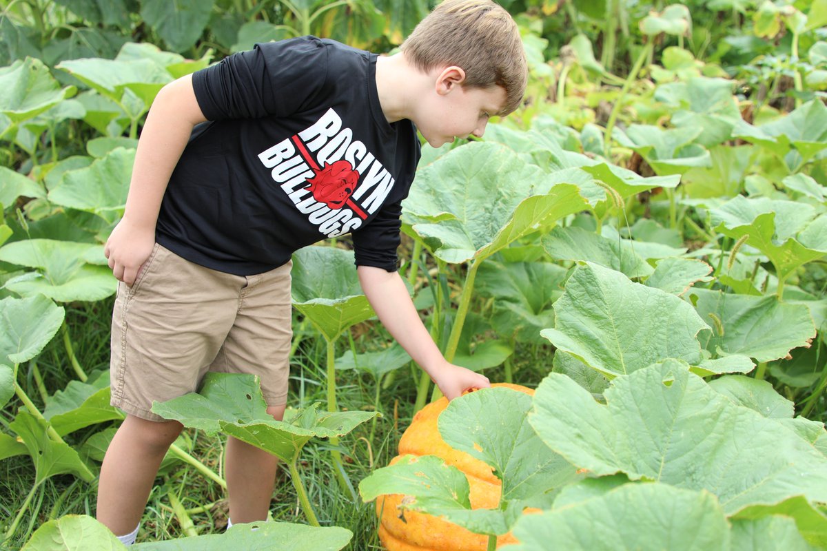 barrington220's tweet photo. This month our 3rd graders are doing their elementary science field studies at the Wormery! Our partners at Mindful Waste are teaching them all about native plants, sunflowers, composting, and the life cycle of a pumpkin! 🌻🌿🪱 #Unifiedfor50 https://t.co/4ENHYN2k6e