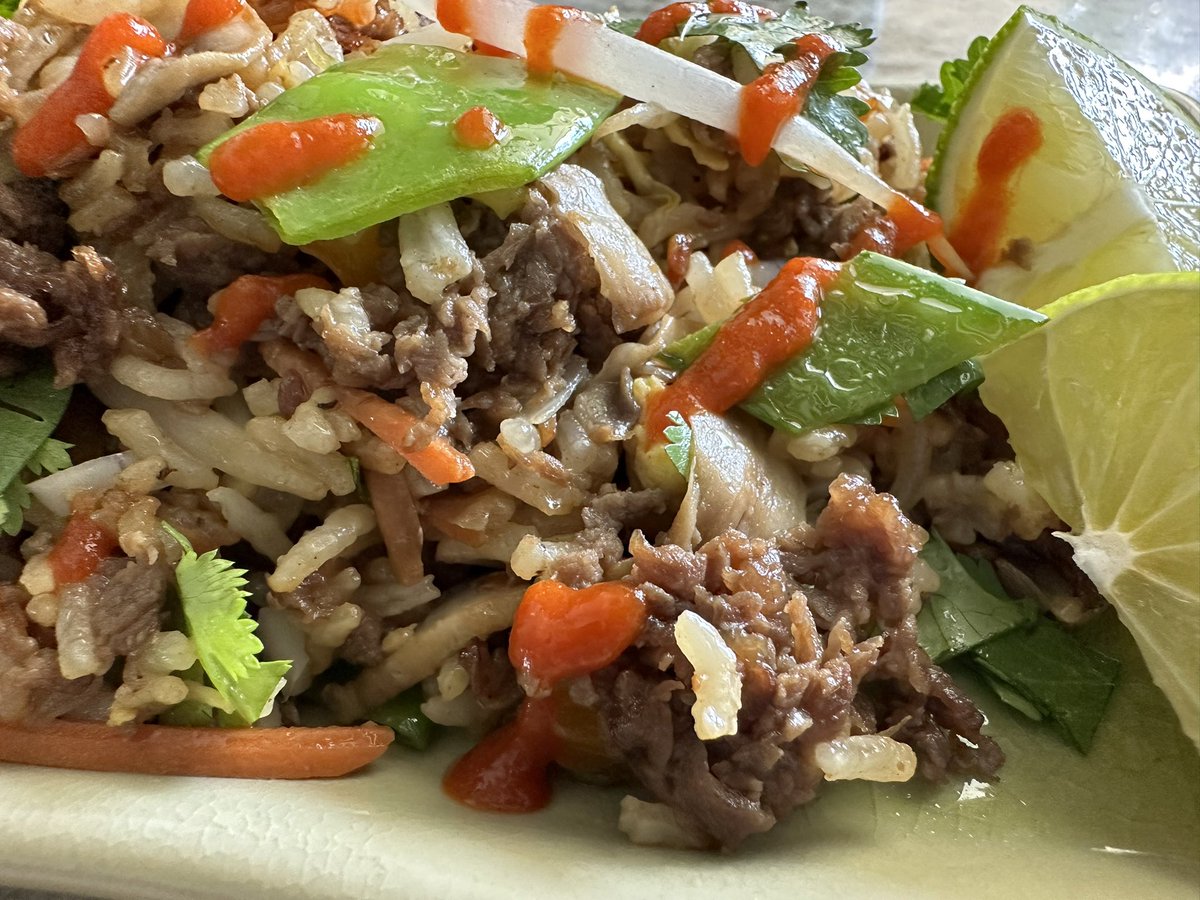 Teriyaki Filet Fried Rice 🍚.  Happy Fried Day!!  
Deliciousness!!  
(Best I’ve ever made. Wow) 😃