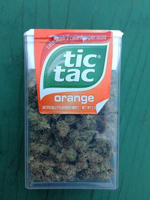 Ei BB gosta de tictac