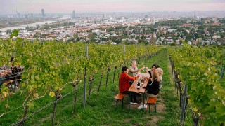 AustriaDenver's tweet image. It's the time of the year when Austrian Expats would love to sit in a "gemütlicher Heuriger"! Vienna and wine are two Viennese traditions that define the capital city per latest article published by @Stadt_Wien. Check it out!
bit.ly/3PsIioP