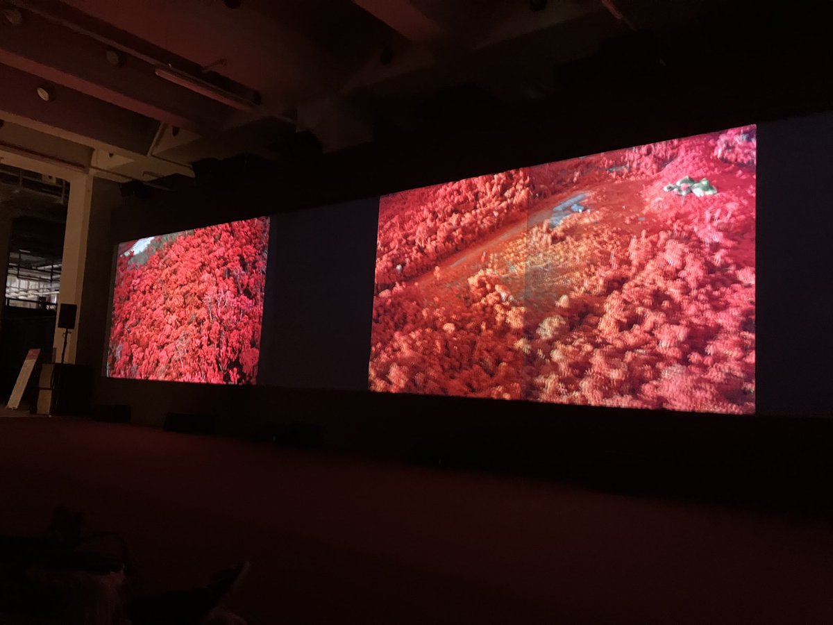 crypticglasgow's tweet image. Having a v. inspiring time ⁦@ArsElectronica⁩  - loved AV performances by ⁦@RobinFox01⁩ work &amp;amp; premiere of #Femina by #Riccardo Giovinetto &amp;amp; ⁦@joseph_kamaru⁩, his exhibition in Prix Arts - is hard to photo though 🤦🏻‍♀️ #cathieboyd