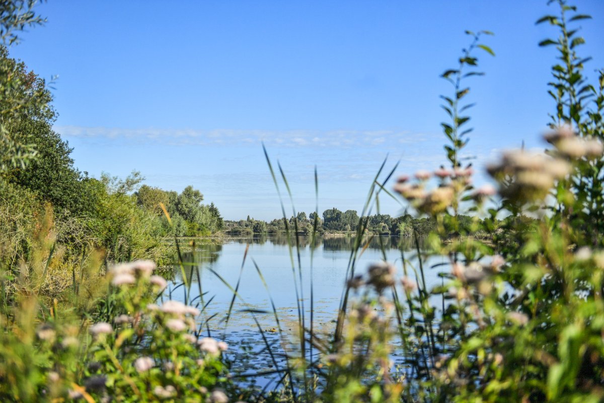 pasdecalais62's tweet photo. Balade estivale Ă #Clairmarais âïž Bon weekend, le #PasdeCalais !
Photos : Y.cadart/CD62 https://t.co/bENkRuwguT