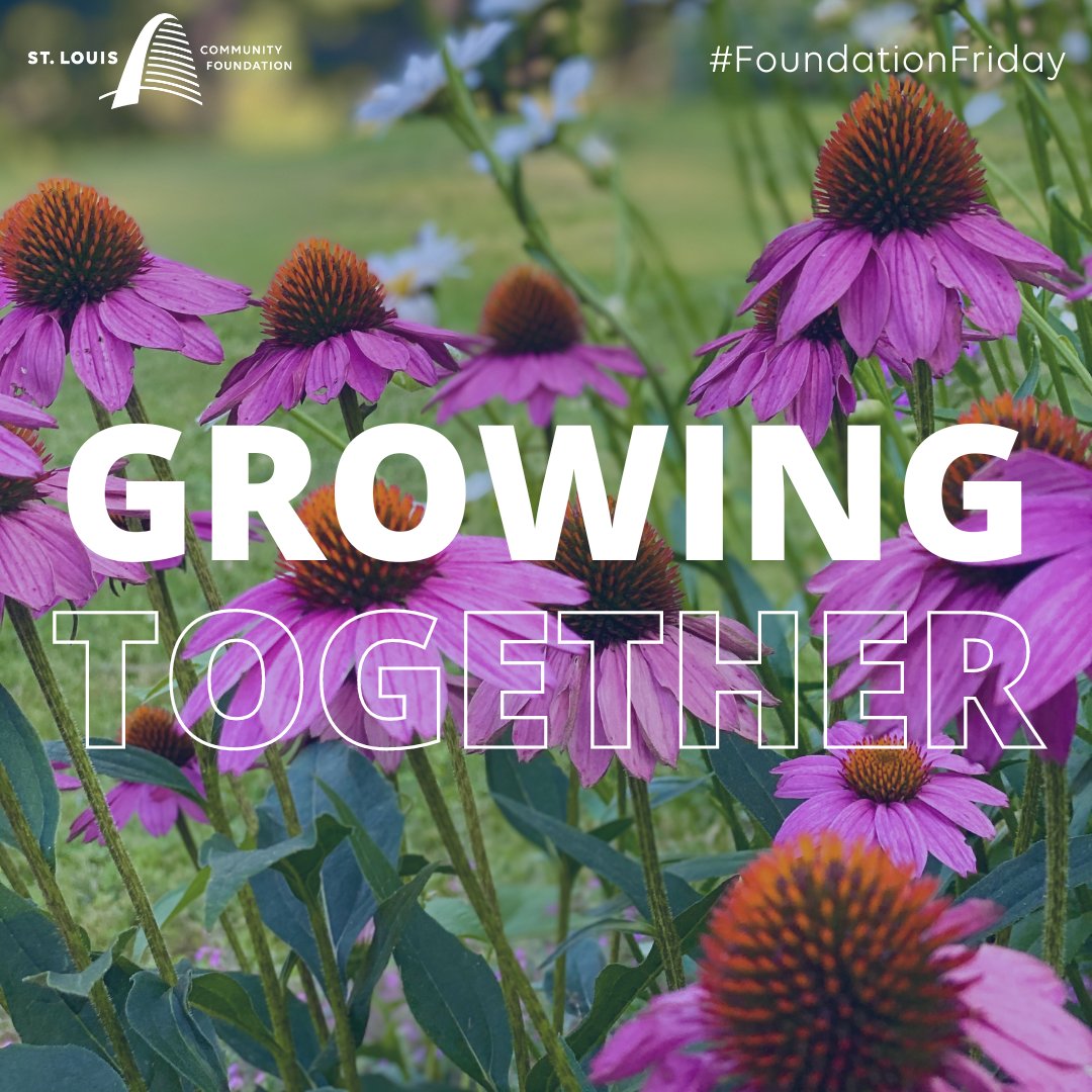 #FoundationFriday When we give back, we grow together. The Community Foundation helps businesses of all sizes discover how they can effectively extend their generosity and talents to the community, and provide for the caring of their valued associates. stlgives.org/corporate-serv…