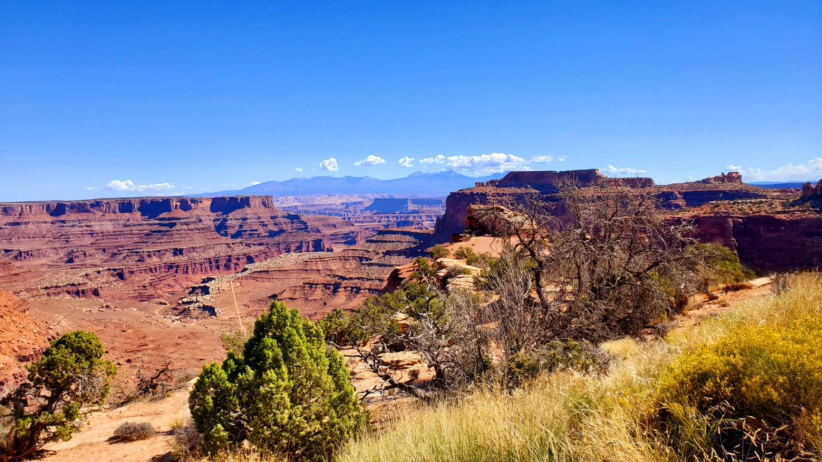Shafer Canyon Overlook in Canyonlands National Park, Moab, Utah For accessibility details, check out our YouTube video, youtu.be/Di8eT7w1ZCc?si… #canyonlands #nationalparks #roadtrip #travelwithlimitedmobility #Utah #moab #shafercanyon
