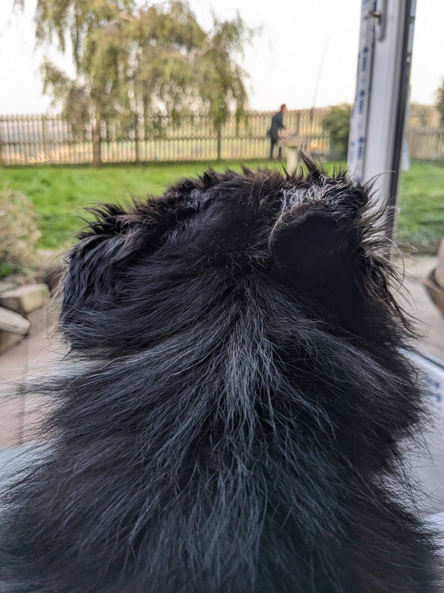 He's doing a good job so far!