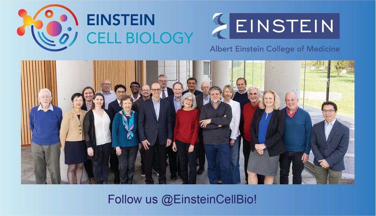 EinsteinCellBio's tweet photo. The @EinsteinCellBio department is excited for the 2023-2024 academic year! Please check out our updated website (https://t.co/kcNYWbsSa0) and follow us on social media to learn more about our science, training environment, and upcoming events! https://t.co/p34thNMhfr