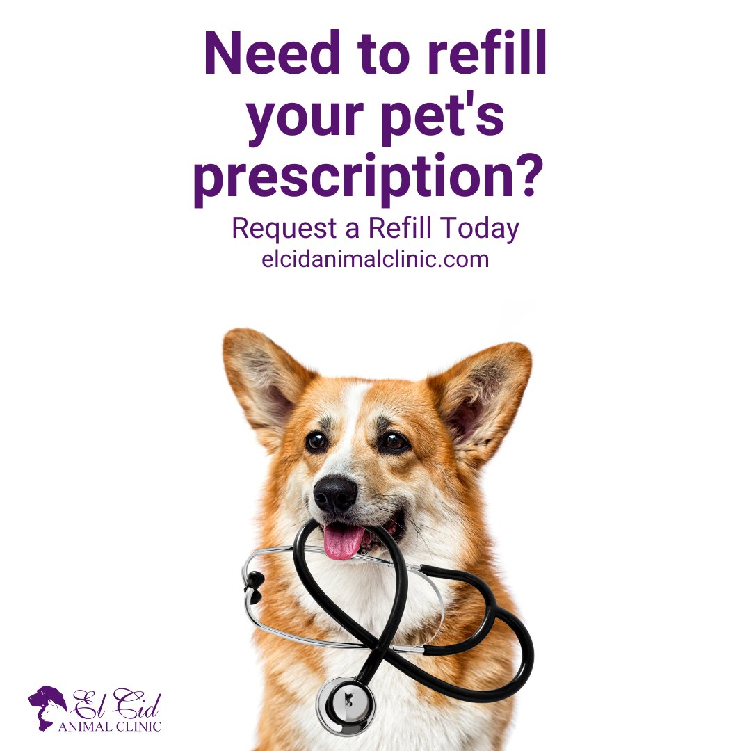 🐾 Pet Prescription Refills Made Easy! 

REQUEST A REFILL HERE:
elcidanimalclinic.com/refills

#ElCidAnimalClinic #PetMedication #petpharmacy #contactus #petmeds #healthypets #Pethealth #westapalmbeach #LocalVet #Vet #VetsThatCare #Dog #Cat #Puppy #SeniorPetCare #PetPrescriptionRefill