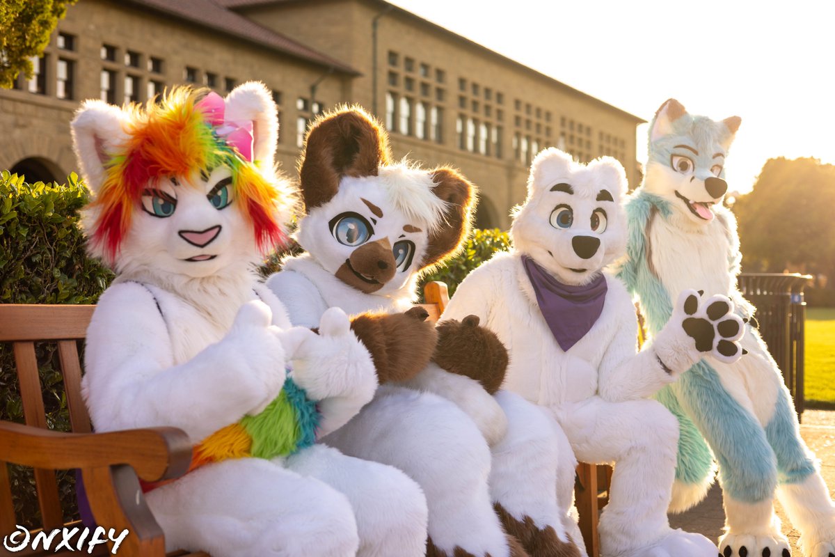 YukitoTheFox's tweet photo. Chilling in the sun 😎
📸: @nxify 
🧵: @WildDogWorks 
#FursuitFriday https://t.co/RMlnVbfvqL