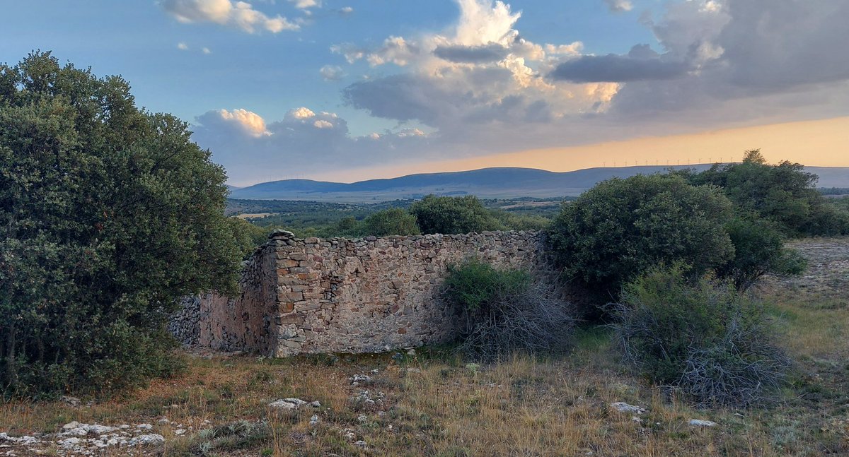 ASDEN_Soria's tweet photo. Esta tarde nos hemos ido a hacer un @Daviddcoba y hemos visitado una #majada #taina #tenada #paridera #corral #aprisco..(Seguro que tiene algún nombre más en #Soria) en cuyas ruinas destaca el dintel de la puerta... https://t.co/8joyEXLNgM