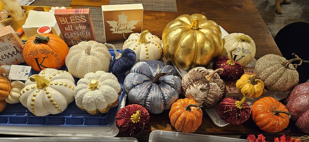 DrEcoclaire's tweet photo. Little pumpkin therapy after a long week. #PumpkinEverything #nottoomany https://t.co/Upo4TObRFG