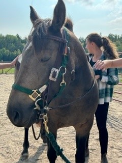 KenoraAreaHealthcare tweet media