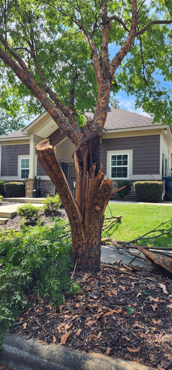48hollywood's tweet photo. @wxbrad  tree damage in Cornelius from last night storm. https://t.co/YWk3a9uucz