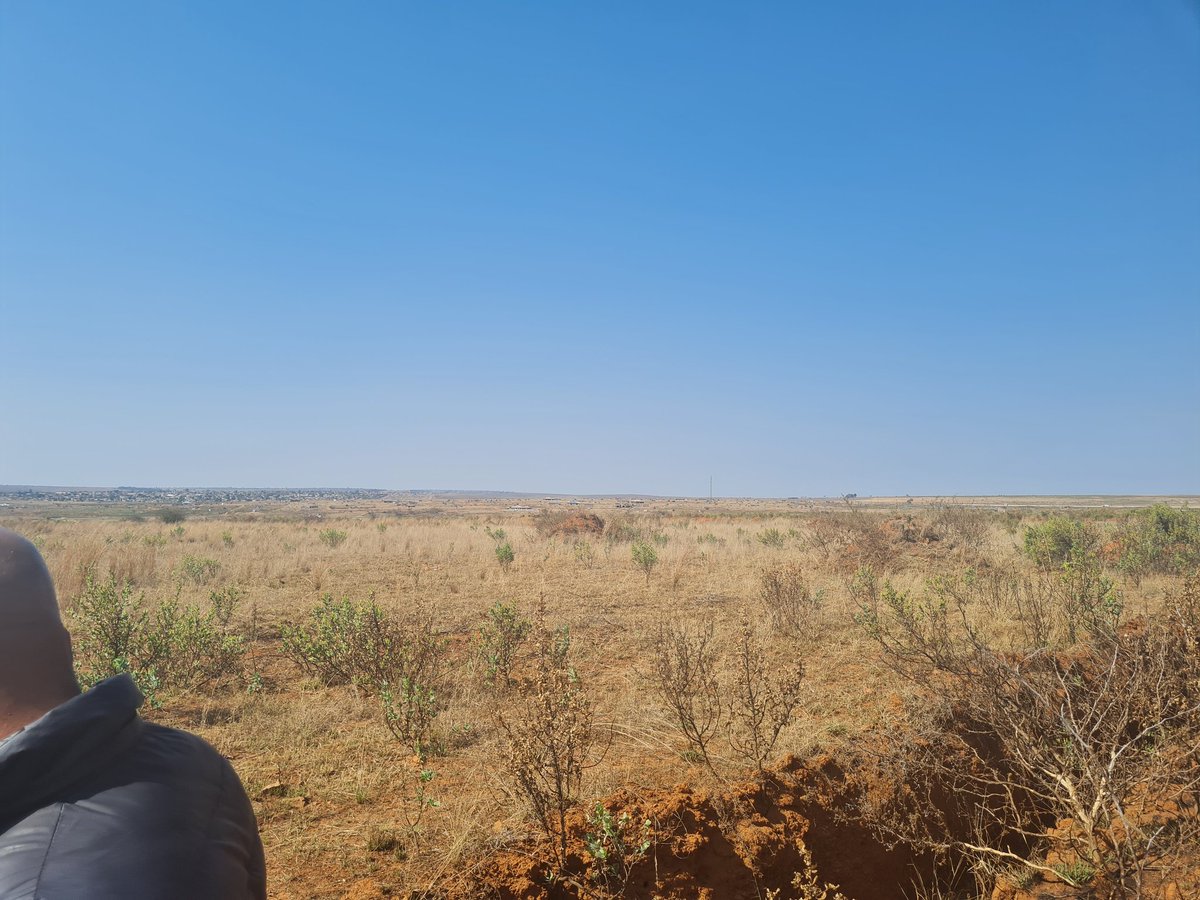 SinaloAxolile's tweet image. Land