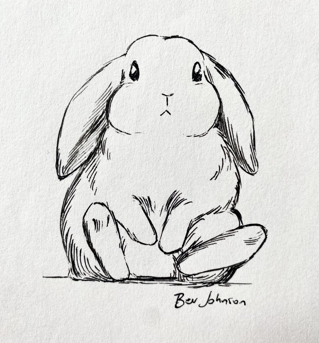 if anyone’s interested in some $50 sketch comms like this, let me know 🐰