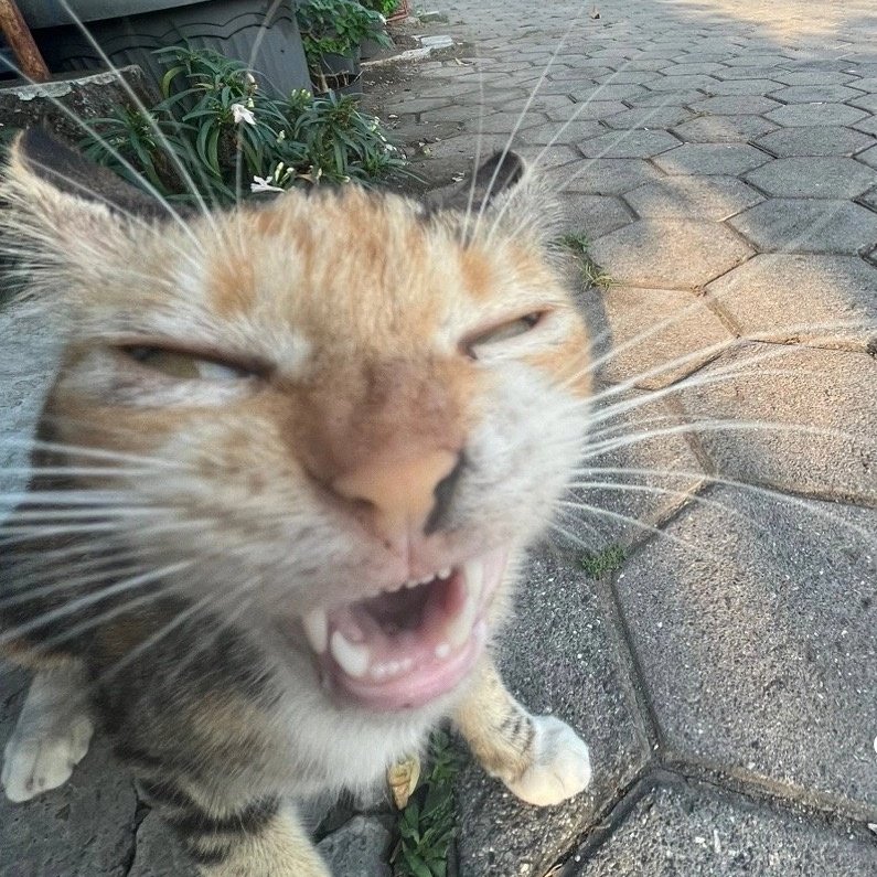 Me sorprende lo rara que es esta persona y su existencia xd tipo como no tiene vergüenza de todo lo que se ha descubierto de el y todas las imbecilidades que dice