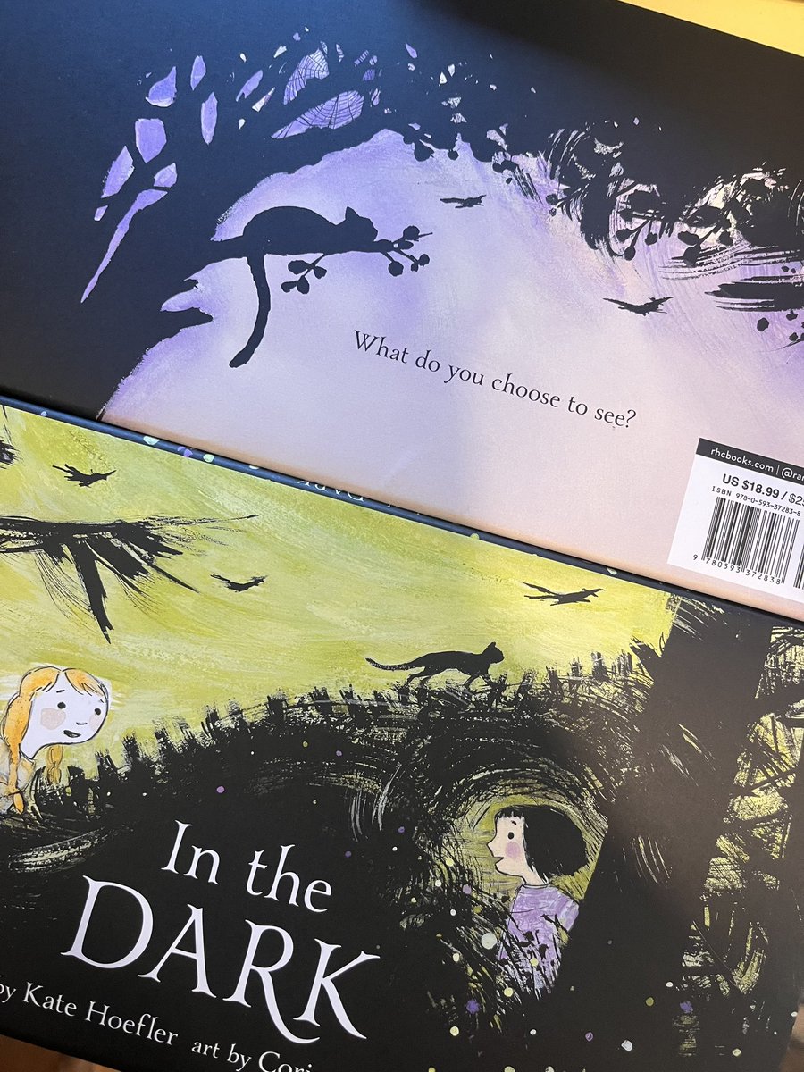 LMReadWrite's tweet photo. Two of my favorite people have released a book together & it’s simply magical ✨In The Dark, by #KateHoefler & #CorinnaLuyken, make you think about perspective, preconceived notions, and prejudice in this gorgeously simple, yet powerful (and horizontal 😳) text. Get this now. https://t.co/92EbJgm34Y