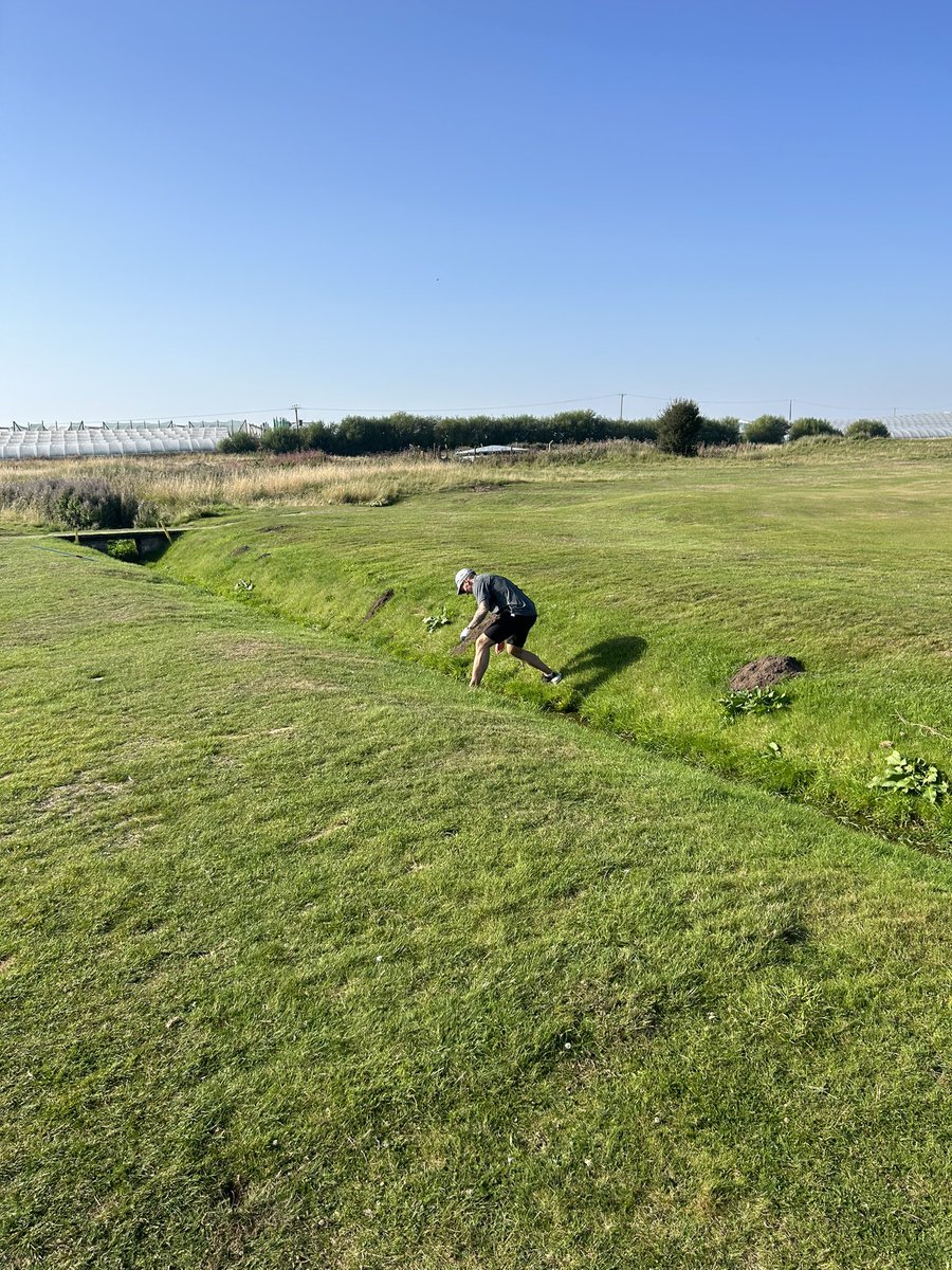 David Gold tweet media