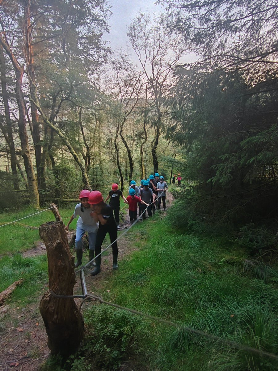 DyniaethauBroEd's tweet photo. Gwaith tîm yn y goedwig heno. Team work in the woods tonight. #storeyarms #bannaubrycheiniog https://t.co/9Akg18qepx