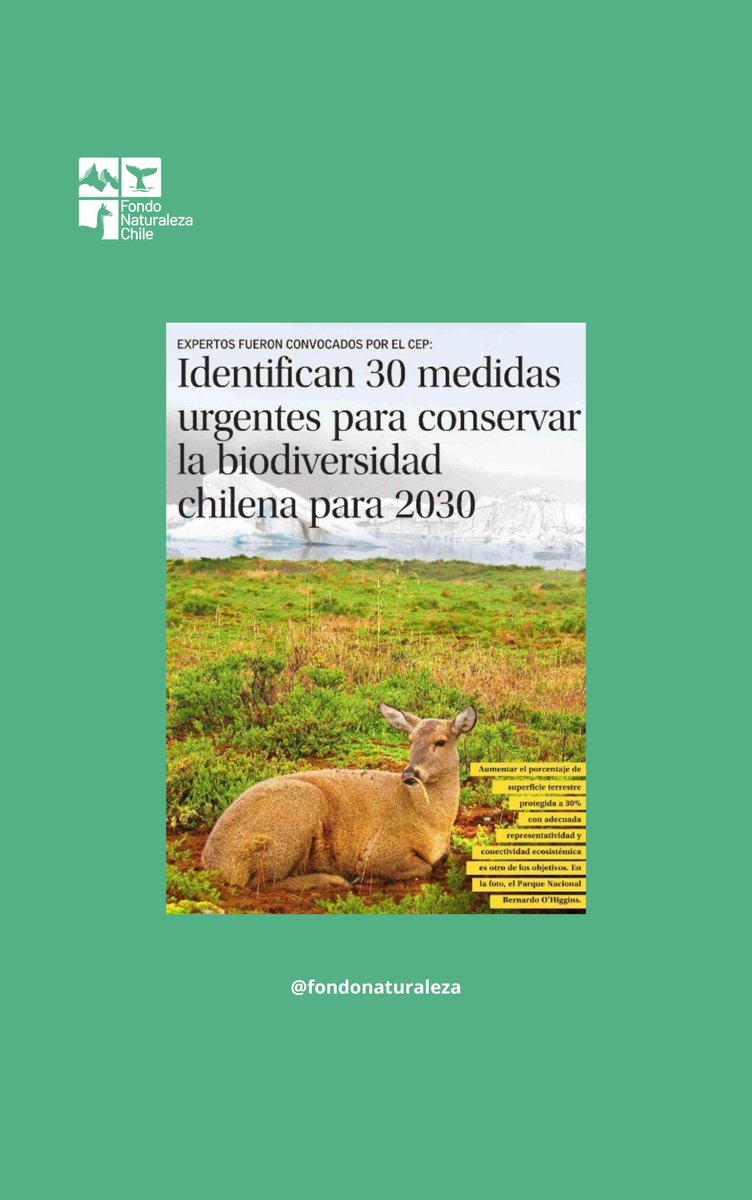 Ayer, <a href="/ElMercurio_cl/">elmercurio_cl</a> destacó este informe que busca contribuir a la conservación del patrimonio natural de Chile.

Como #FondoNaturalezaChile fuimos parte de la creación y el lanzamiento de éste junto a <a href="/cepchile/">El CEP</a> 

Lee la nota completa aquí bit.ly/3EwJtxh
