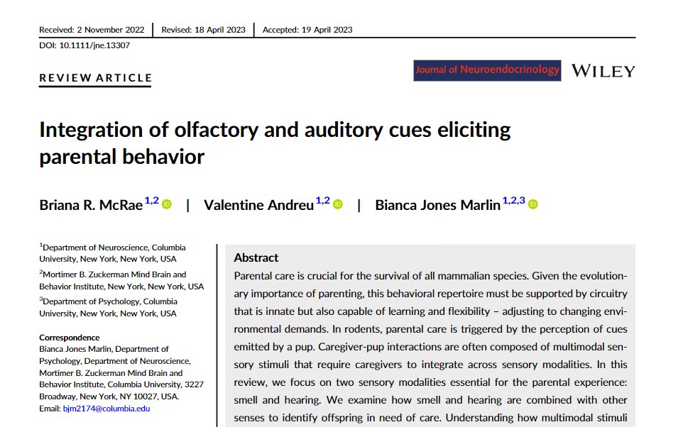 New review from the Marlin Lab ✨ by two of our amazing grad students, <a href="/BriMcR/">Briana Rose McRae</a> Briana McRae and Valentine Andreu, on how sensory stimuli are processed in the 🧠 to inform parental care towards offspring. Read it here: onlinelibrary.wiley.com/doi/full/10.11…